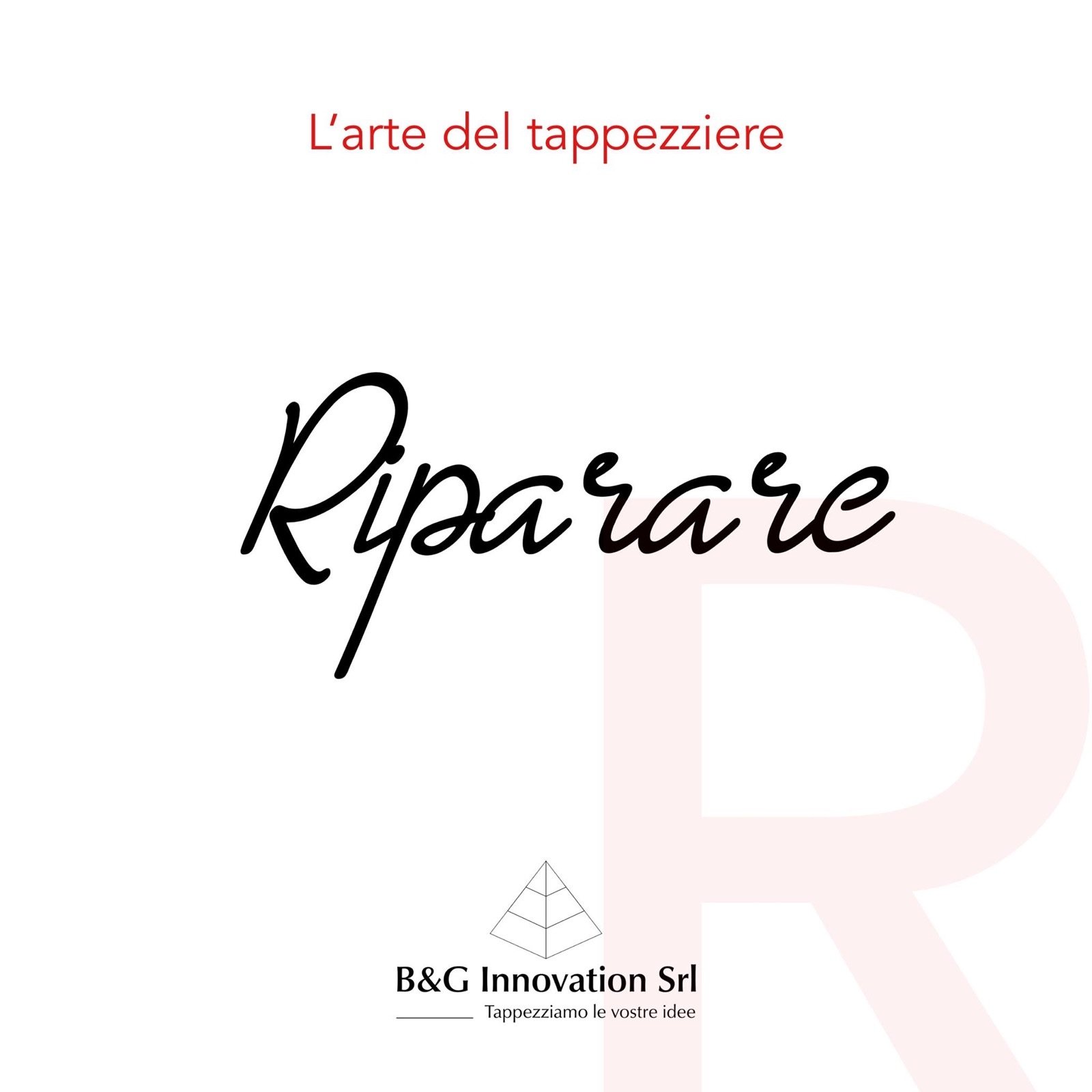 Riparazione professionale